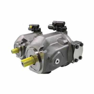Rexroth A4vso Series China Hydraulic Pump