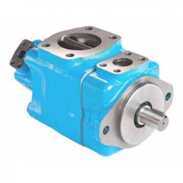 Hydraulic Vane Pump - V10*-**4*-**20 Vane Steering Pump; Hydraulic Motor Pump; Piston Pump; High Pressure Hydraulic Gear Pump