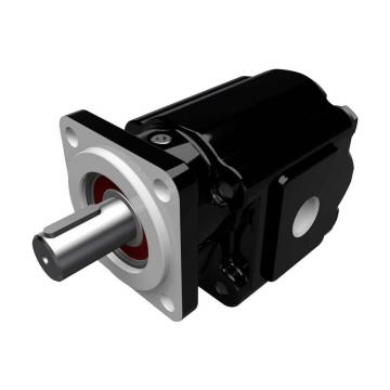 Parker PGP620 High Pressure Cast Iron Gear Pump 7029210007