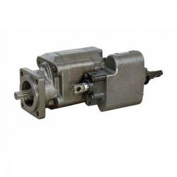 Lifting Hydraulic Gear Pump (C101)