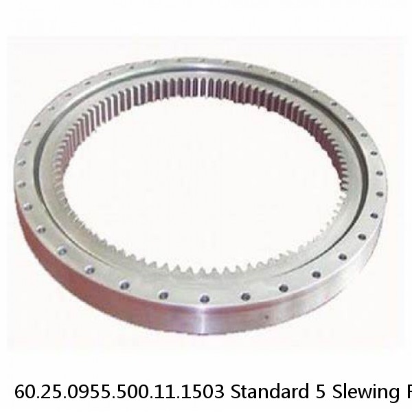 60.25.0955.500.11.1503 Standard 5 Slewing Ring Bearings