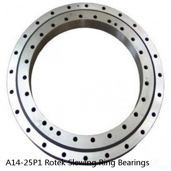 A14-25P1 Rotek Slewing Ring Bearings