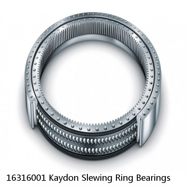 16316001 Kaydon Slewing Ring Bearings