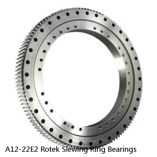 A12-22E2 Rotek Slewing Ring Bearings