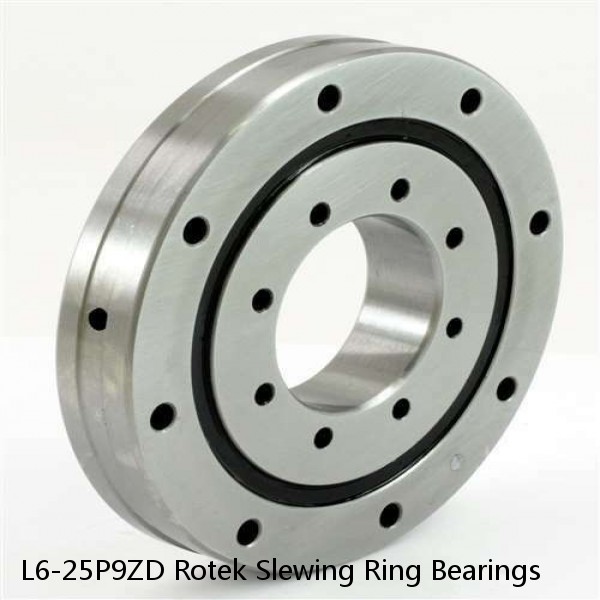 L6-25P9ZD Rotek Slewing Ring Bearings