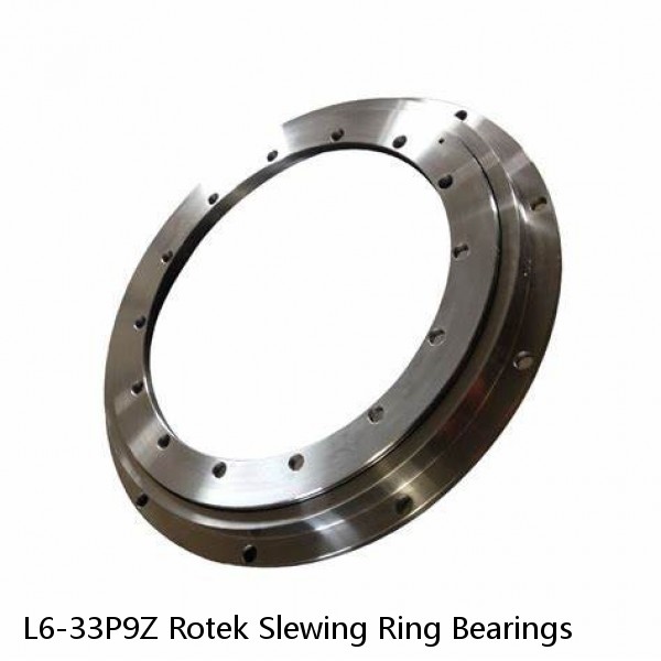 L6-33P9Z Rotek Slewing Ring Bearings