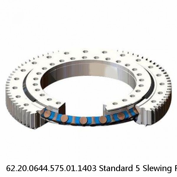 62.20.0644.575.01.1403 Standard 5 Slewing Ring Bearings