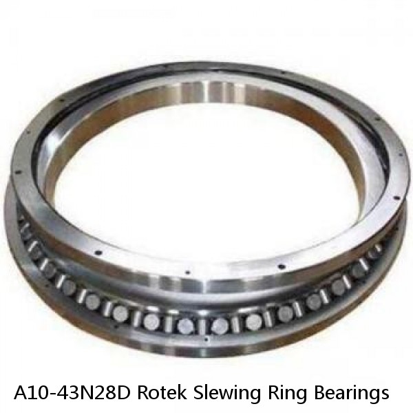 A10-43N28D Rotek Slewing Ring Bearings