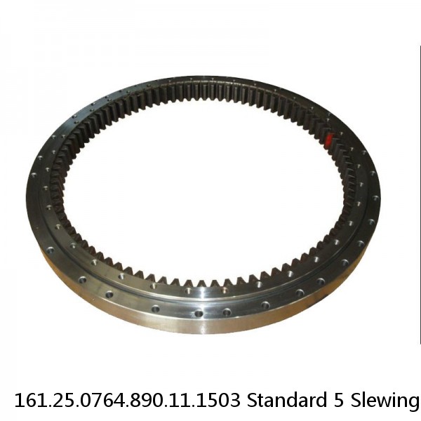 161.25.0764.890.11.1503 Standard 5 Slewing Ring Bearings