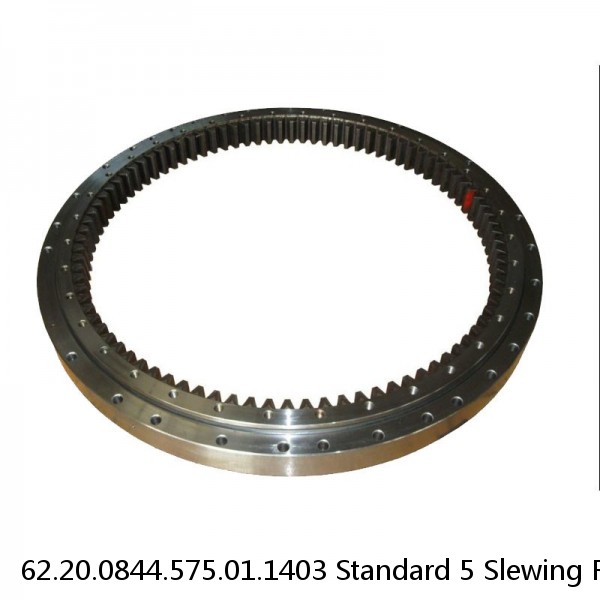 62.20.0844.575.01.1403 Standard 5 Slewing Ring Bearings