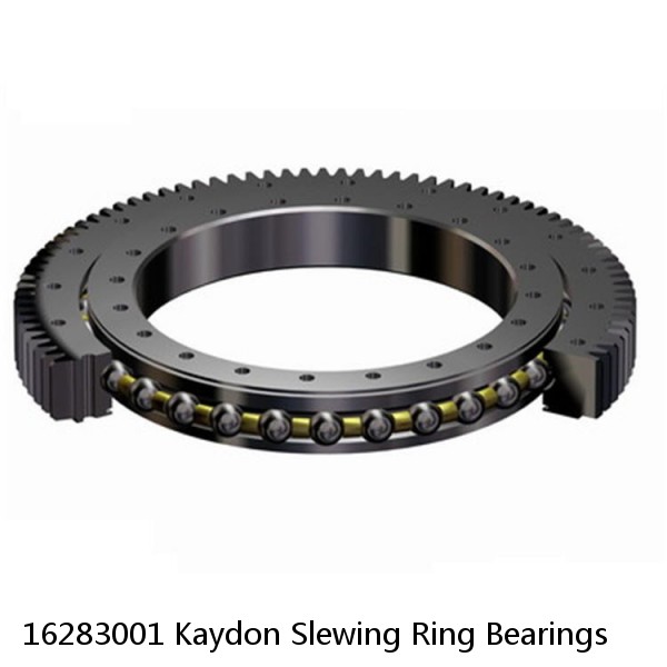 16283001 Kaydon Slewing Ring Bearings