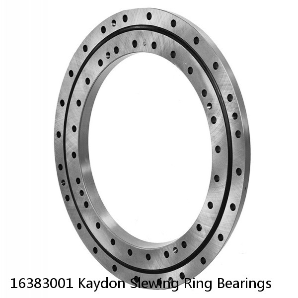 16383001 Kaydon Slewing Ring Bearings