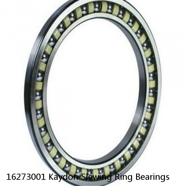 16273001 Kaydon Slewing Ring Bearings