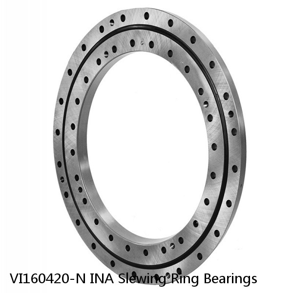 VI160420-N INA Slewing Ring Bearings