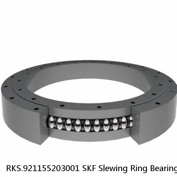 RKS.921155203001 SKF Slewing Ring Bearings