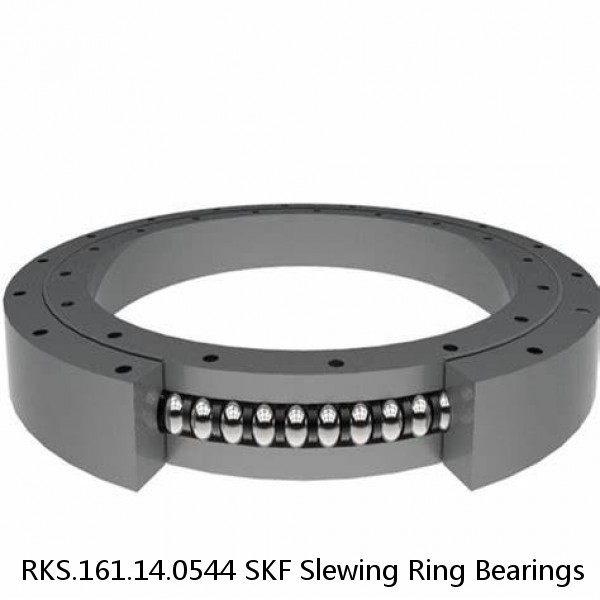 RKS.161.14.0544 SKF Slewing Ring Bearings