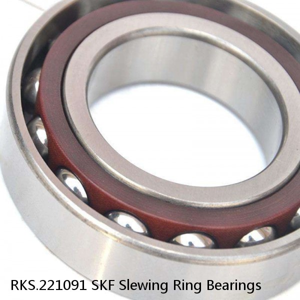 RKS.221091 SKF Slewing Ring Bearings