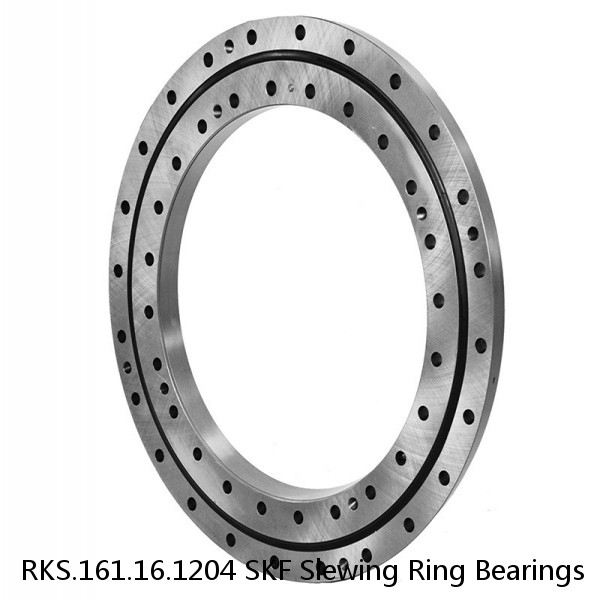 RKS.161.16.1204 SKF Slewing Ring Bearings