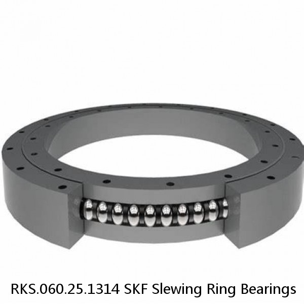 RKS.060.25.1314 SKF Slewing Ring Bearings