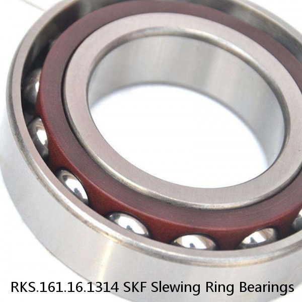 RKS.161.16.1314 SKF Slewing Ring Bearings