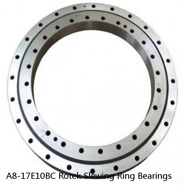 A8-17E10BC Rotek Slewing Ring Bearings