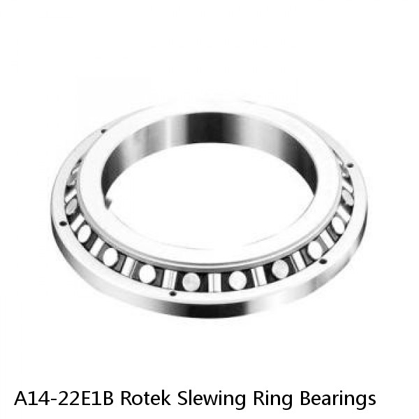 A14-22E1B Rotek Slewing Ring Bearings