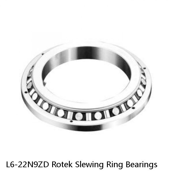 L6-22N9ZD Rotek Slewing Ring Bearings