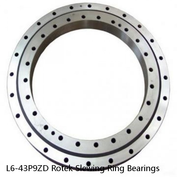 L6-43P9ZD Rotek Slewing Ring Bearings