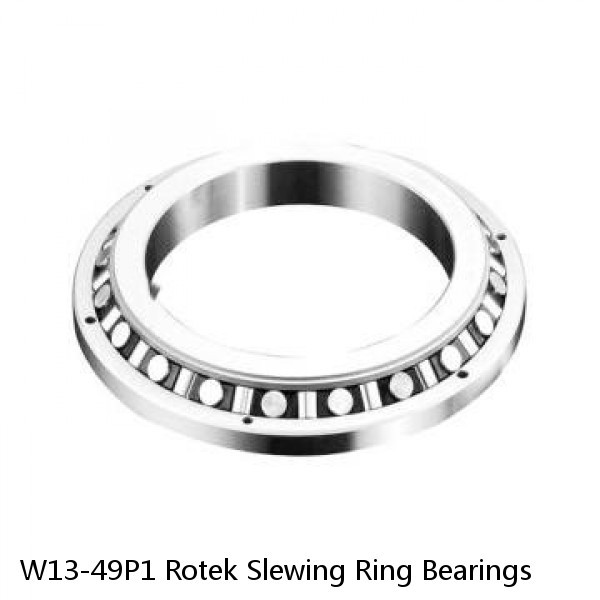 W13-49P1 Rotek Slewing Ring Bearings