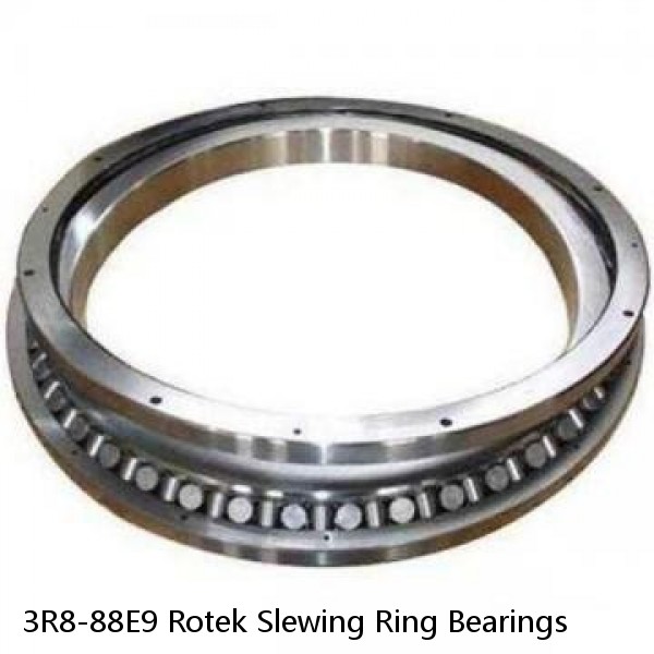 3R8-88E9 Rotek Slewing Ring Bearings