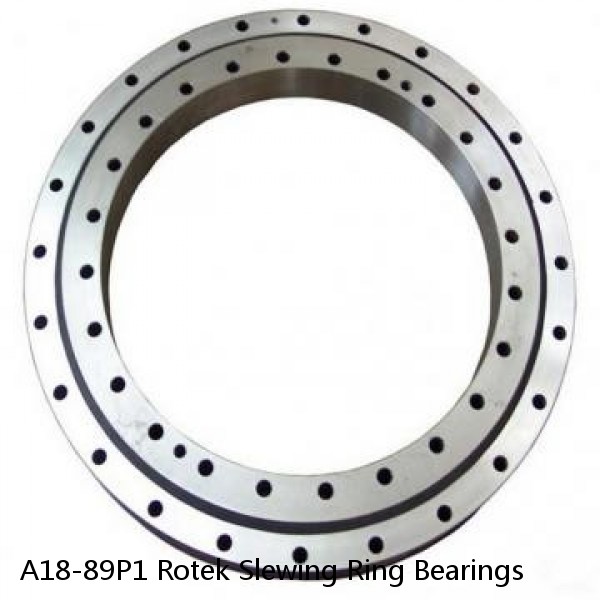 A18-89P1 Rotek Slewing Ring Bearings