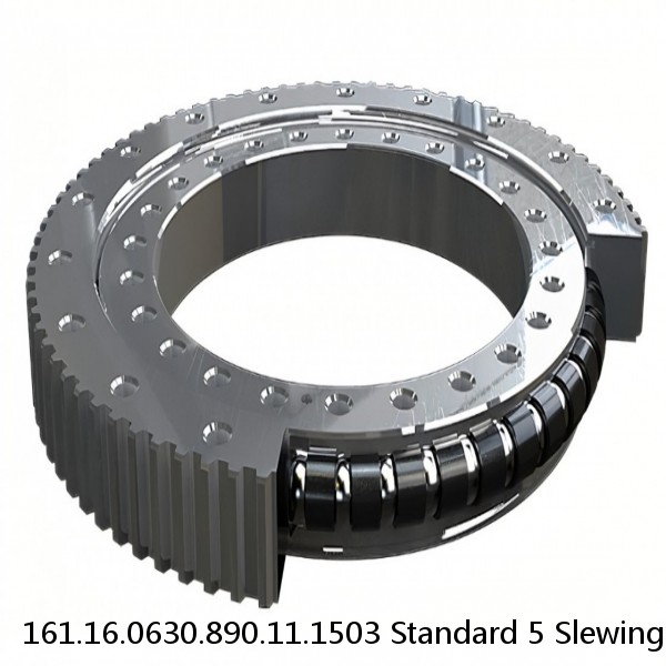 161.16.0630.890.11.1503 Standard 5 Slewing Ring Bearings