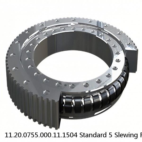 11.20.0755.000.11.1504 Standard 5 Slewing Ring Bearings