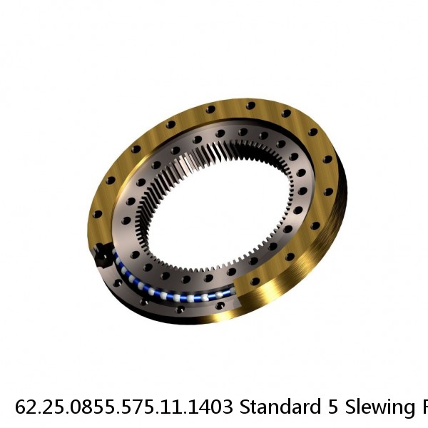 62.25.0855.575.11.1403 Standard 5 Slewing Ring Bearings