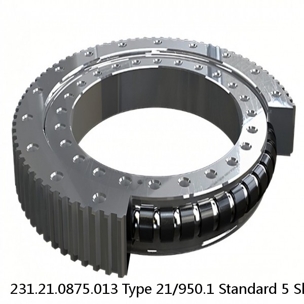 231.21.0875.013 Type 21/950.1 Standard 5 Slewing Ring Bearings